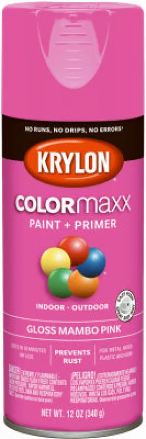 12 OZ Mambo PNK Paint