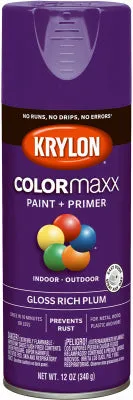 12 OZ Plum GLS Paint