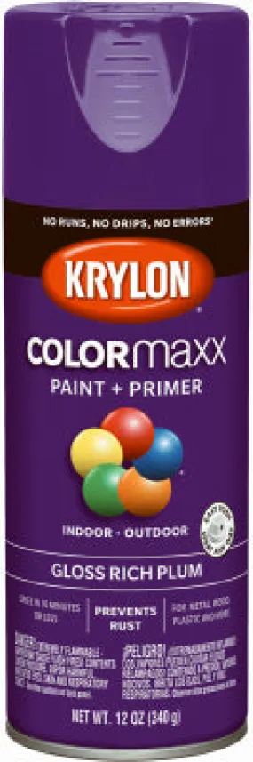 12 OZ Plum GLS Paint