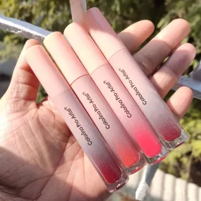 4pcs Cutest Lipgloss Set Waterproof & Long-lasting Set