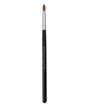 Pointed Liner Brush