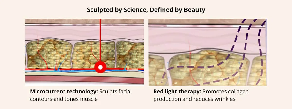 ThermaGlow 5-IN-1 Red Light, MicroCurrent, Heat & UltraSonic Massage Therapy.