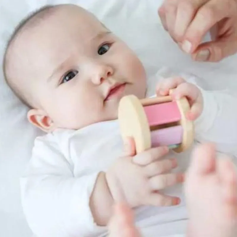 Wooden Roller Toy